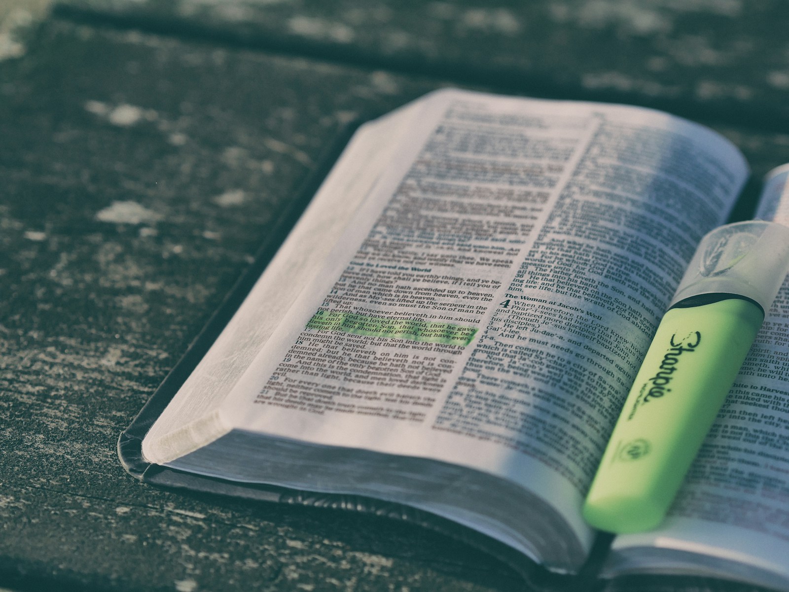 Bible Reading Plan Widget iPhone: Make the Plan Impossible to Forget