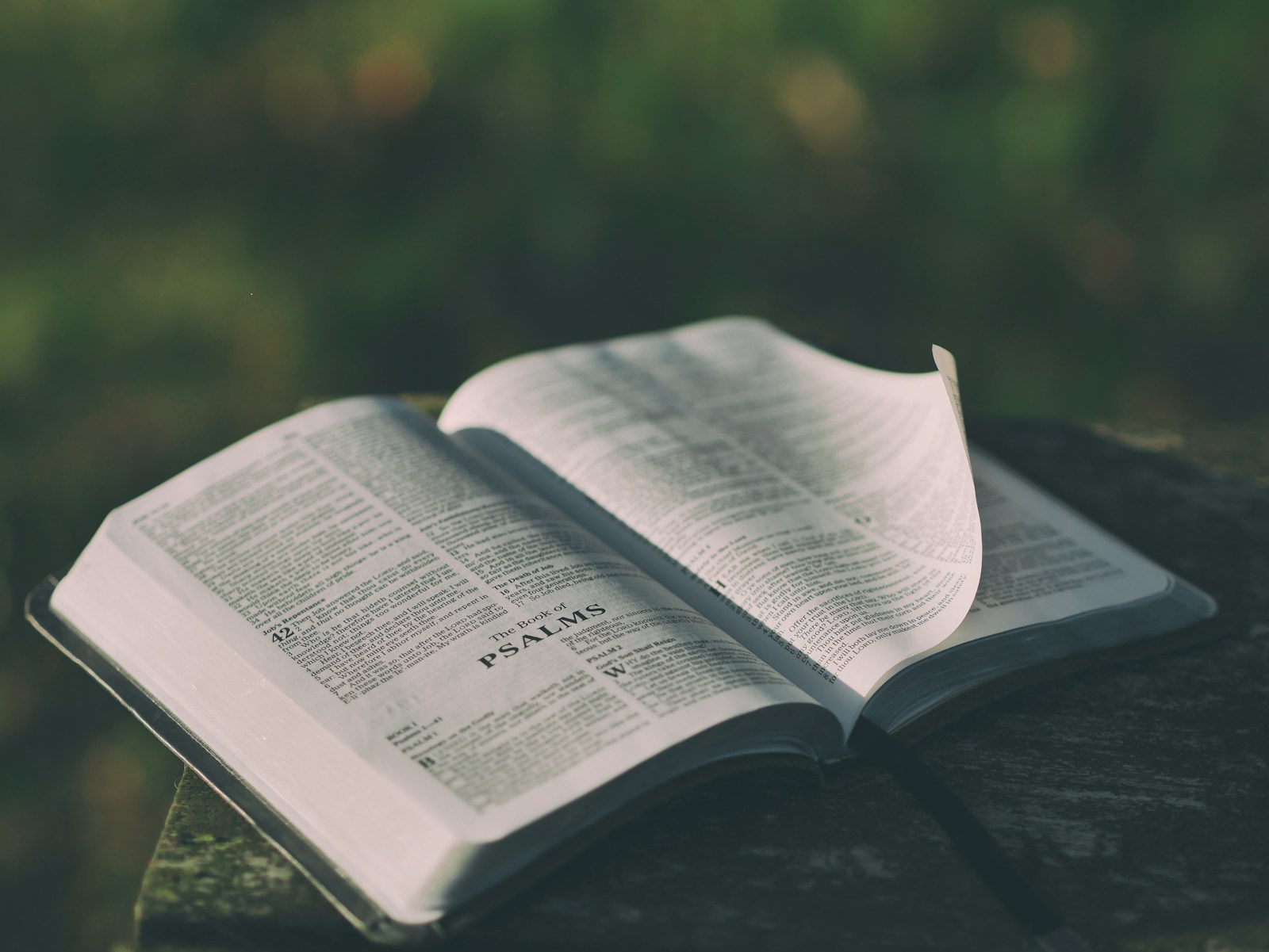 Scripture Wallpaper for iPhone Free: The Setup That Doesn't Go Stale